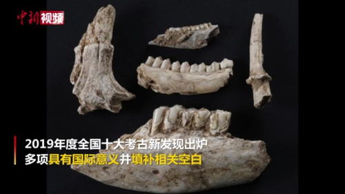 2019年度全国十大考古新发现出炉 