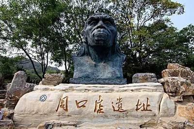 在历史发展中,为何北京猿人的头盖骨那么重要 