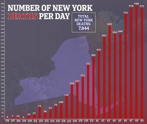 美国纽约市新冠肺炎死亡实际人数超预期四倍(美国纽约市新冠肺炎病例再度激增)