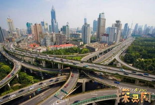1995年上海高架桥打桩事件 上海一个大桥桥墩纹龙(1995年上海高架桥打桩受阻事件)