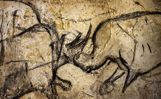 法国3.6万年前石器时代肖维岩洞 Grotte Chauvet 被列入世界遗产名录 