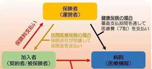 移民港 日本排名全球第一医疗好在哪里