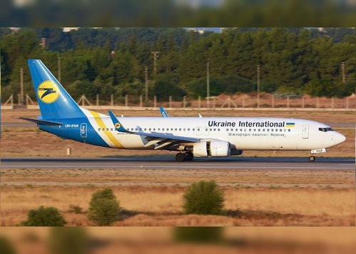 乌克兰波音737客机坠毁画面曝光,飞机在瞬间变成一团火球