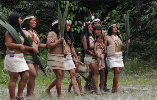 最后净土失守 厄瓜多尔亚马逊原始部落发现新冠病毒病例