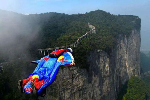 女大学生天门山 翼装飞行 失联4天