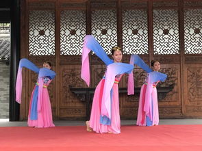唯美中国风舞蹈大盘点 惊艳全场的表演,这里都有...