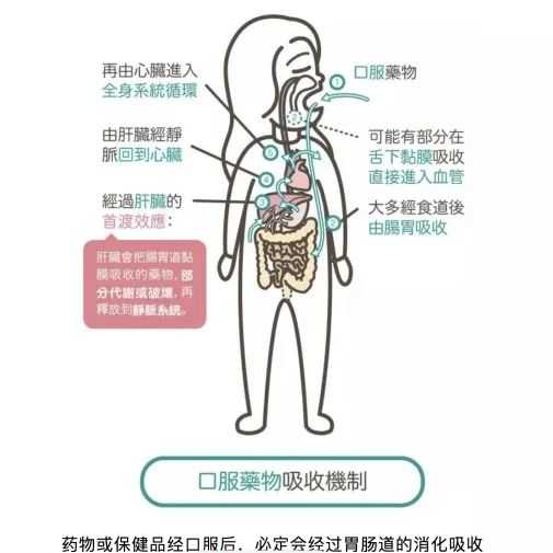 什么是玻尿酸 有什么作用呢