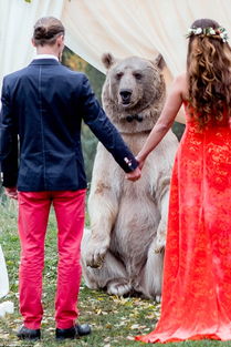 棕熊成婚礼证婚人 我以熊的名义 宣布你们结为夫妻