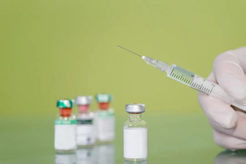 全球疫报 6月3日 福奇称不要对新冠疫苗期望过高,效力可能连一年都不到
