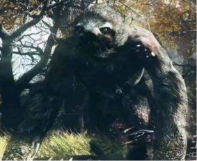 辐射76 为什么被玩家称为 辐射 怪物猎人