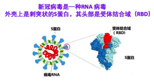 广州开打三针重组新冠病毒疫苗 不同疫苗是否可以混打