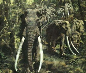 如何会有的巨大发现四万年前长毛象