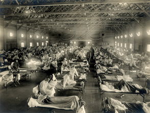 大流感,1918年死亡5000万,使第一次世界大战提前结束(全球大流感)