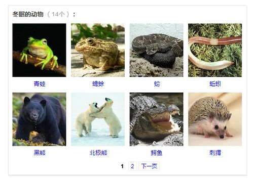 冬眠动物有哪些:这15种需要冬眠的动物(图)(冬眠动物有哪些动物)