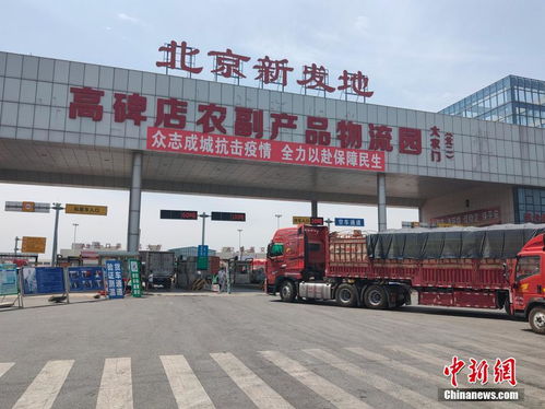 探访河北新发地 可日供果蔬8.5万吨 保北京 菜篮子 10天需求 