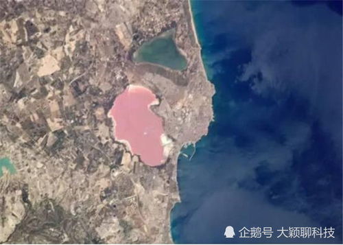 印度一湖泊出现问题,慢慢变成了 粉红色 ,什么原因引起的