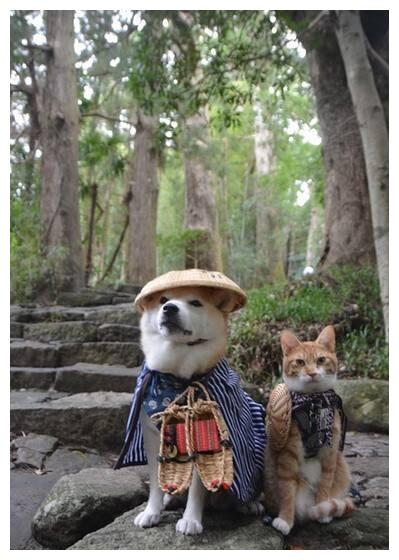 最新 震惊国内外 日本说2040年人类将可以和猫狗进行对话