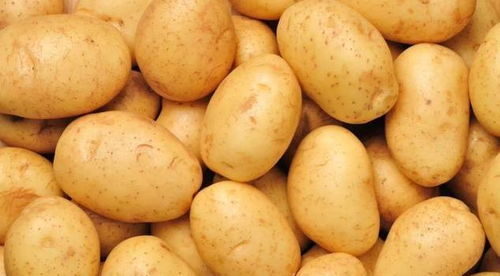 土豆一斤6元 北京一商户趁机哄价格,结果收了张六位数的罚单