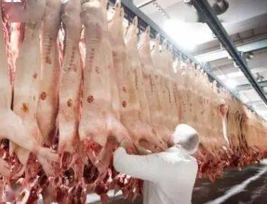 德国最大肉类加工厂爆发聚集性感染 确诊400多名员工(河南最大肉类加工企业)
