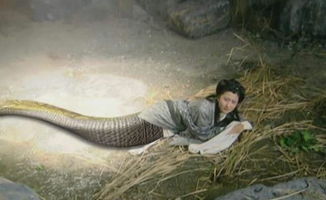 仙剑这部剧中,同为女娲后人,为何一个是人身蛇尾,一个只是蛇