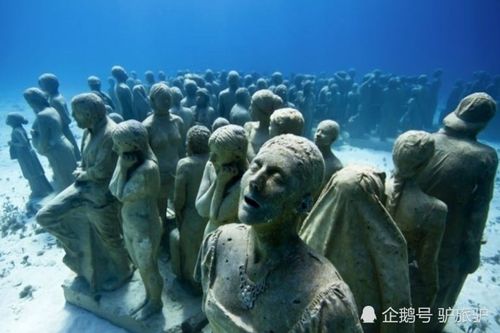将博物馆建在水下,想参观还必须会潜水,网友 还可以这样