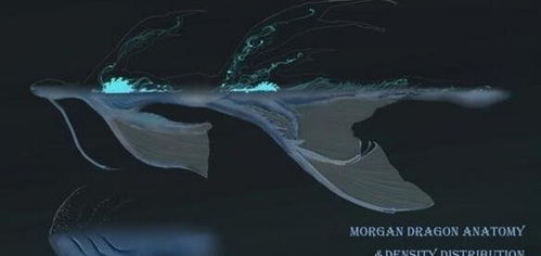 1987摩根巨龙事件,人类捕获的大气生物疑是东方神龙 图片