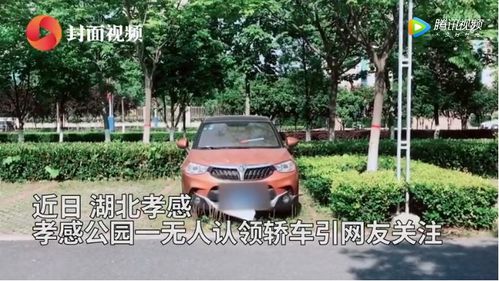 湖北私家车数月无人认领车主确认去世,生前举动曝光令人泪目