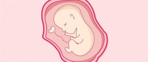 研究 孕妇可在子宫内将新冠病毒传给新生儿 美国早产女婴一出生就被测出阳性