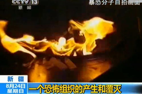 央视曝光恐怖组织焚烧多国国旗视频 