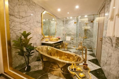 越南24k纯金酒店,连马桶泳池都是纯金的 网友 住一次赚了