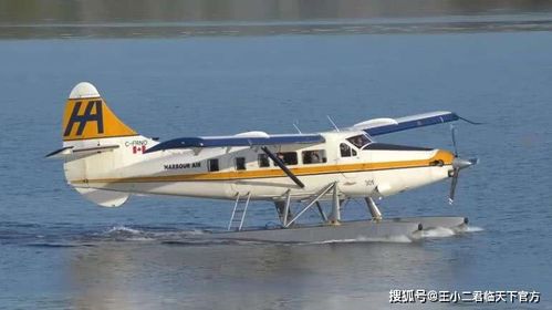 14时20分,两架飞机在高空相撞后坠落湖中,机上8人全部遇难