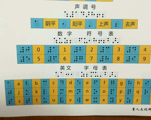 2020年高考今日开考,五名全盲考生使用盲文试卷