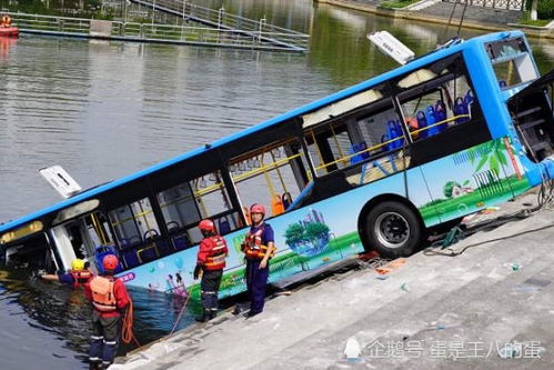 州公交车坠湖幸存者:乘客在车突然转弯时大喊大叫