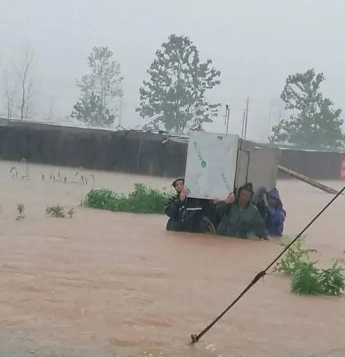 强降雨已致179.6万人受灾 全省防汛救灾工作正全面有序开展