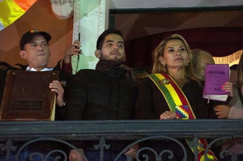 玻利维亚临时总统新冠检测阳性,将以线上方式继续工作 