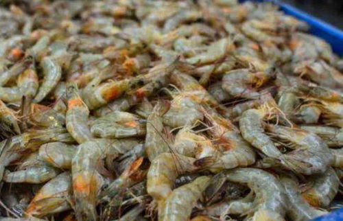 注意!厄瓜多尔冻南美白虾外包装检测到新冠肺炎(厄瓜多尔冻虾安全吗)