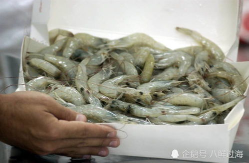 厄瓜多尔冷冻白虾外包装检出新冠病毒,厄政府关闭三家涉事虾企