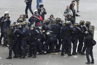 法国多地发生暴乱 17万抗议者与警察喋血街头 组图