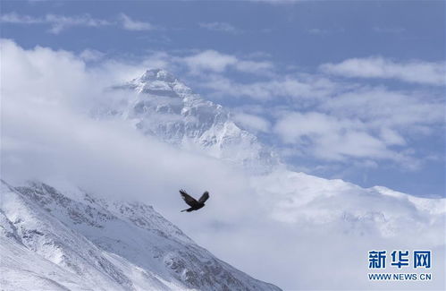 2020年珠穆朗玛峰高程测量登山队成功登顶世界第一高峰(2020年珠穆朗玛峰作业时间)