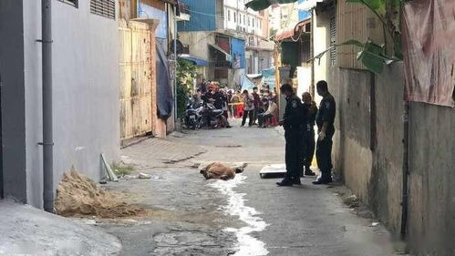柬埔寨金边一名美女坠亡