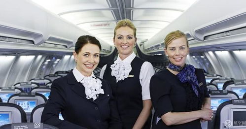 冰岛航空解雇所有空乘人员 暂用飞行员代替空姐工作