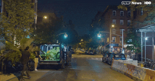 凌晨4点,全纽约的垃圾桶都开满了鲜花 这是我见过最浪漫的犯罪