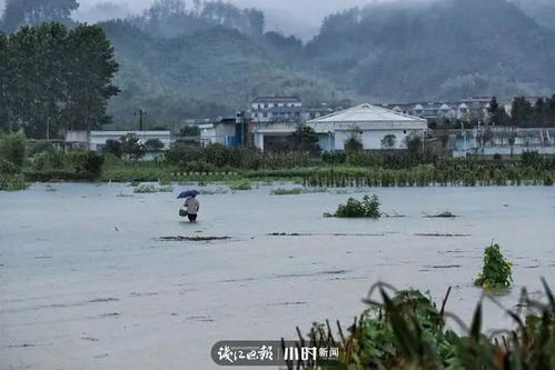 史上首次9孔全开泄洪,水位多久会下降 浙江防汛回应