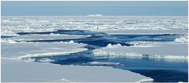 世界气象组织呼吁加大对北极的监测力度 