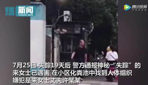 杭州杀妻男曾家暴前妻 不离就没命什么情况 怎么回事 终于真相了,原来是这样