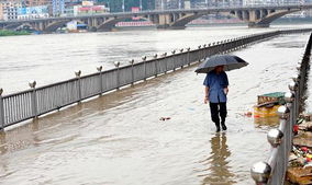 暴雨造成闽北大部分地区超警戒水位 