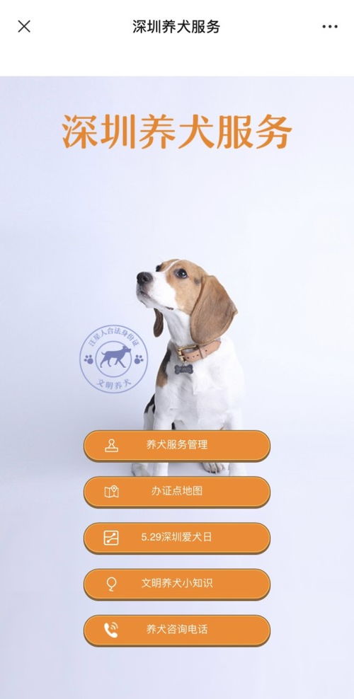 10月起,深圳犬只未植入芯片将被视为无证养犬