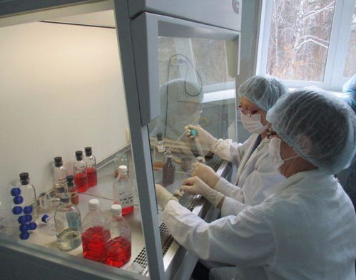 俄专家 俄罗斯曾出现过1人传染1500人的新冠病毒超级传播者 