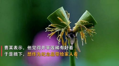 你好西安丨新闻早餐速递 2020年7月29日