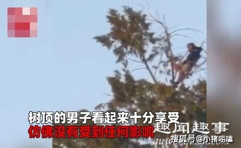 男子发现18米高的树顶上有物体在动,镜头拉近后直冒冷汗 英国 